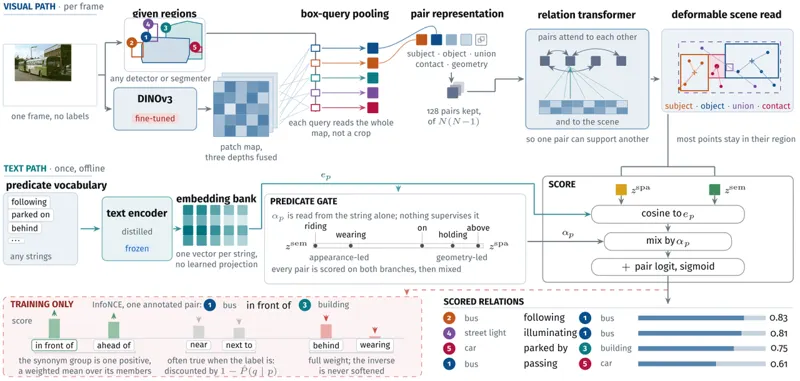 RelateAnything: Real-Time Open-Vocabulary Relation Prediction From Any Inputs